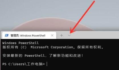 [系统教程]Windows11命令提示符怎么打开？Windows11命令提示符打开方法分享