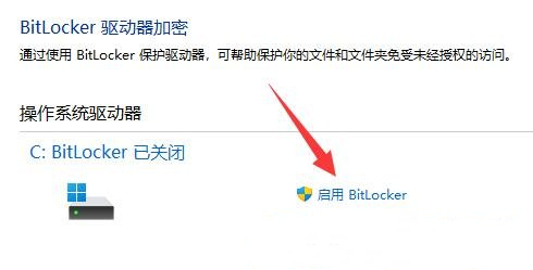 [系统教程]Win11如何设置硬盘密码？Win11硬盘加密的方法