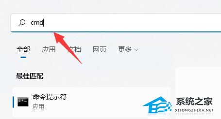 [系统教程]Win11硬盘读写速度很慢怎么办？Win11硬盘读写速度很慢的解决方法